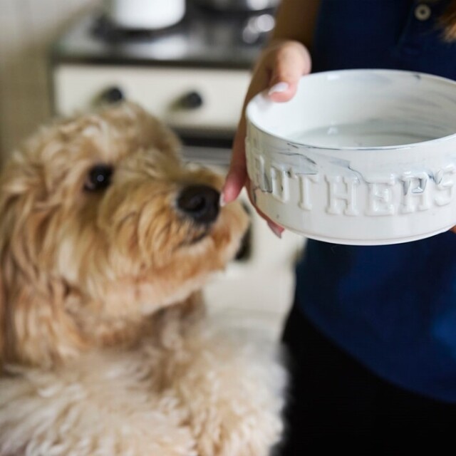 マンダリンブラザーズ MARBLE COMBINATION BOWLS フード