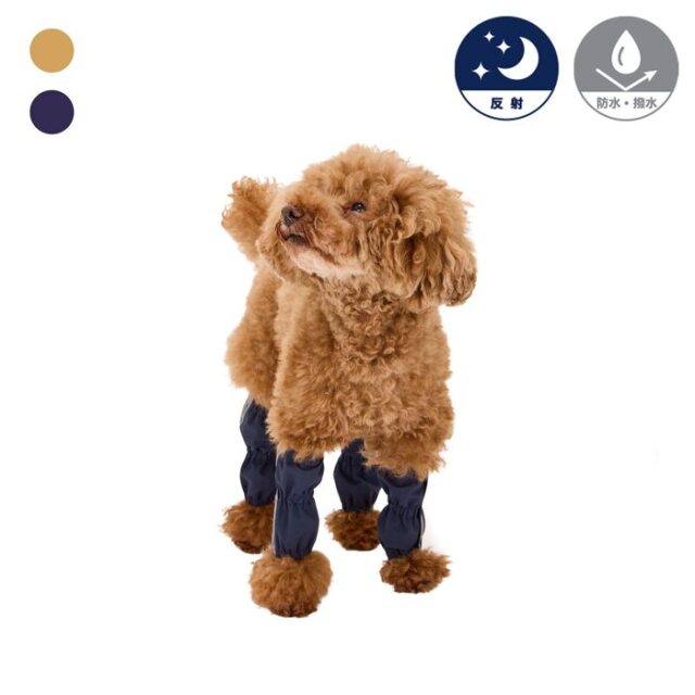 ROYAL CANIN キャバリアキングチャールズスパニエル 3kg 【3kg×2袋