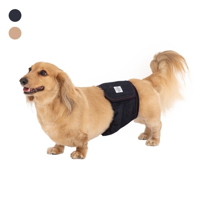 マンダリンブラザーズ　Manner Belt　マナーベルト（男の子用）