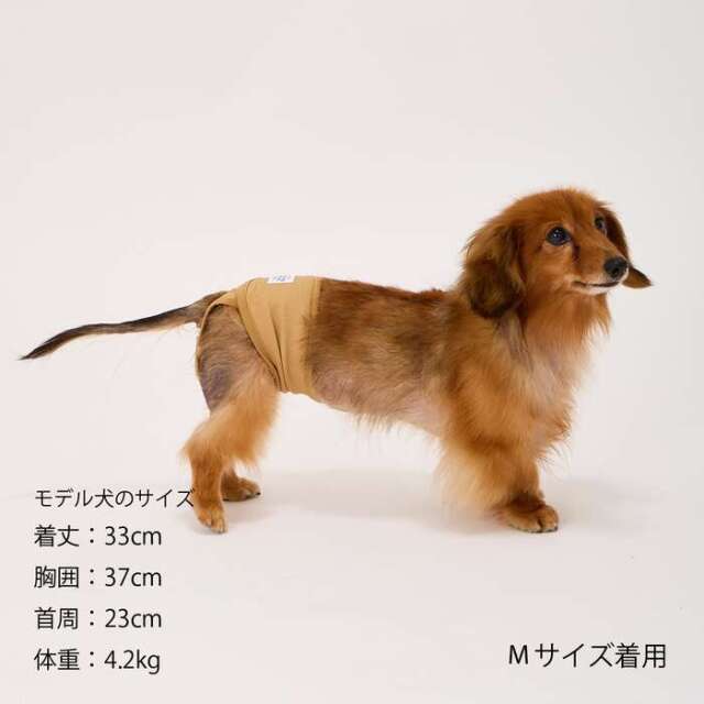 マンダリンブラザーズ Manner Pants マナーパンツ（女の子用） Pets