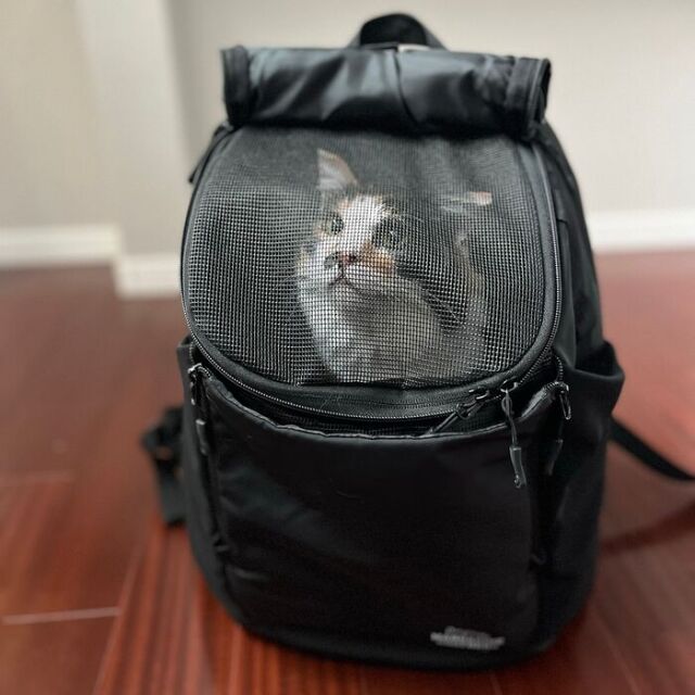 マンダリンブラザーズ WINSTON HUG BAG LARGE Pets-first ONLINESTORE