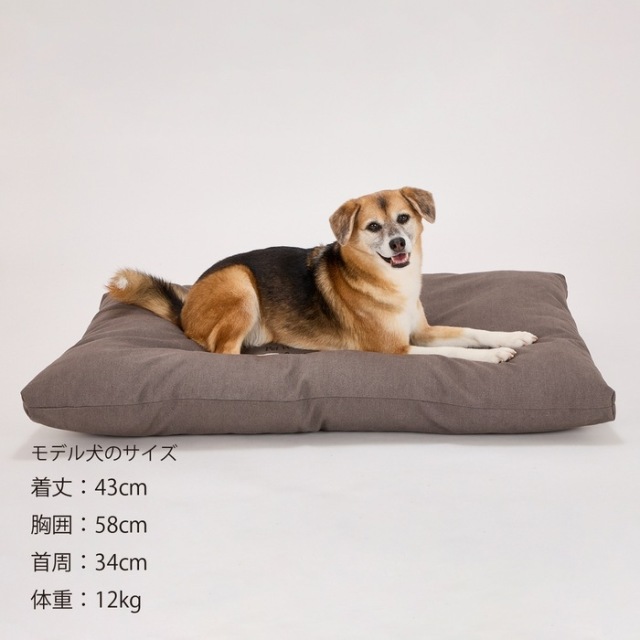 マンダリンブラザーズ COZY BED Pets-first ONLINESTORE