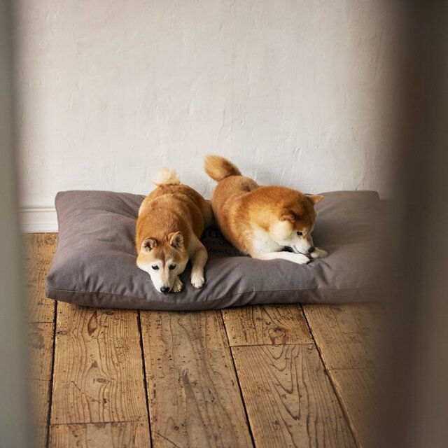 マンダリンブラザーズ COZY BED Pets-first ONLINESTORE