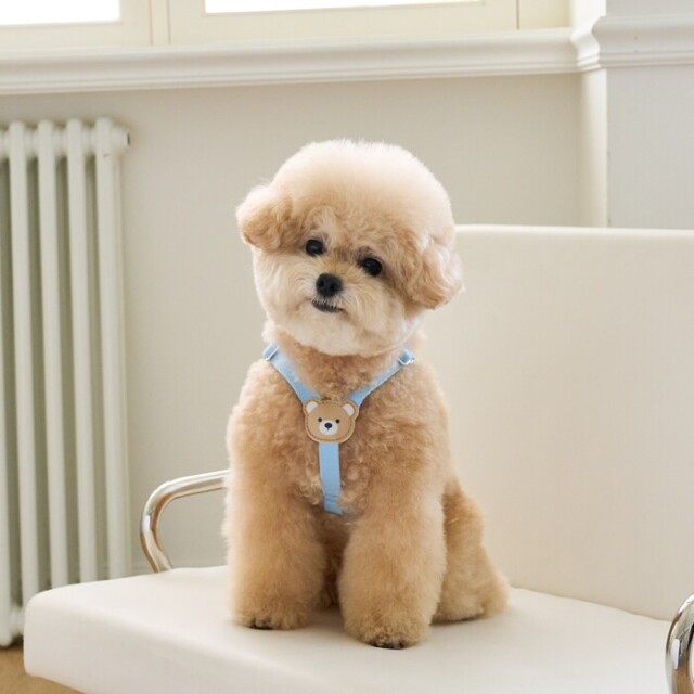 BYBONG ライトハーネス Pets-first ONLINESTORE