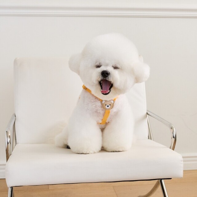 【完売!新品未使用】baybee♡poodle jacket BYBONG ライトハーネス Pets-first ONLINESTORE