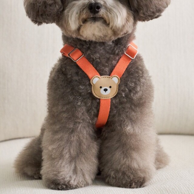 【完売!新品未使用】baybee♡poodle jacket セール】犬猫 刺繍 ロークルーソックス5足セット（ソックス/靴下