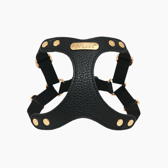 BYBONG DELIGHT HARNESS 、リードセット　バックル　Mサイズ BYBONG DELIGHT HARNESS 、リードセット バックル Mサイズ