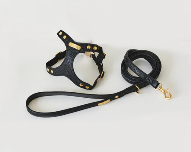 BYBONG DELIGHT HARNESS（ブラック） Pets-first ONLINESTORE