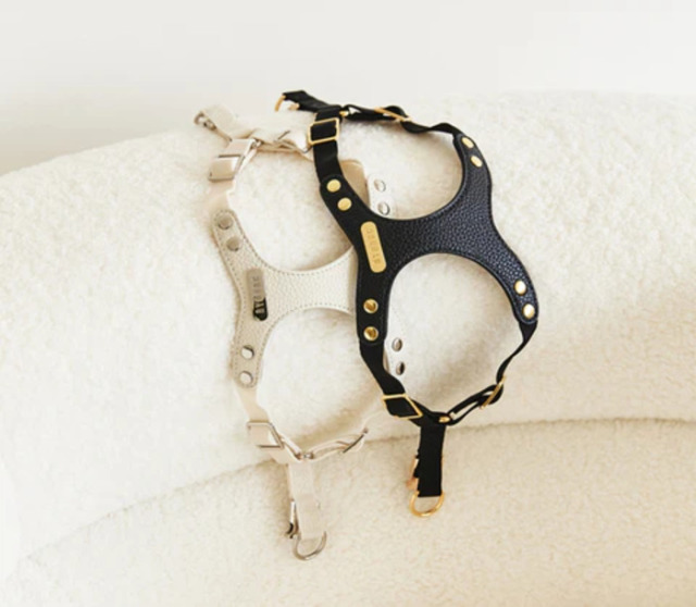 aikon リボンハーネス 美品 完売商品 BYBONG DELIGHT HARNESS（クリーム） Pets-first ONLINESTORE