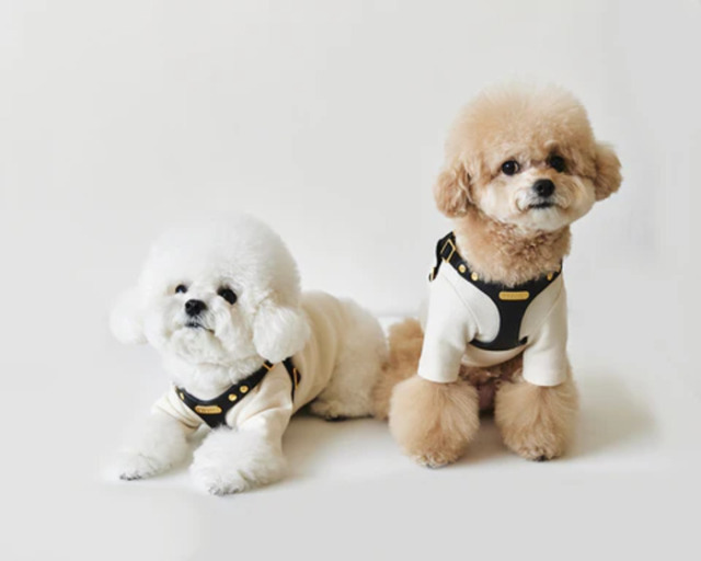 BYBONG DELIGHT HARNESS（ブラック） Pets-first ONLINESTORE
