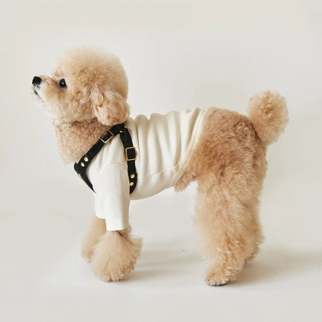 ＢＹＢＯＮＧ　ハーネスＳサイズとリード BYBONG DELIGHT HARNESS（ブラック） Pets-first ONLINESTORE
