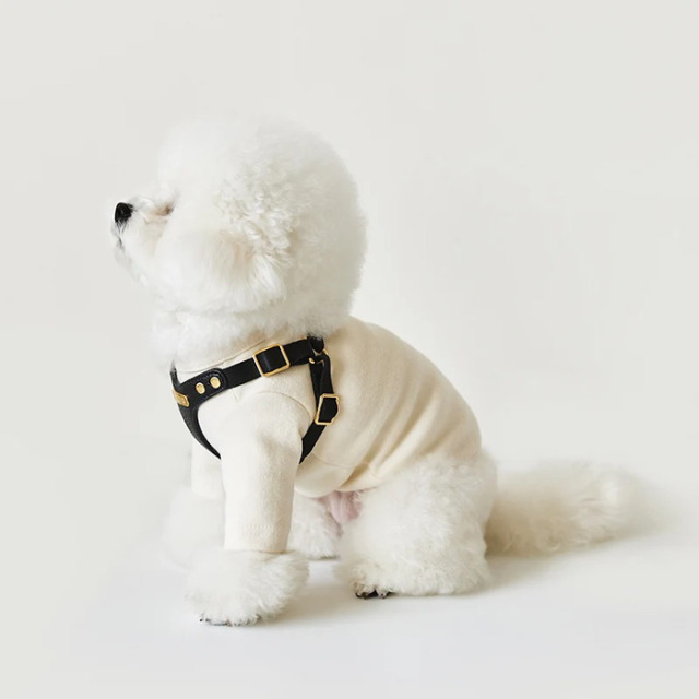 BYBONG DELIGHT HARNESS 、リードセット　バックル　Mサイズ 負担が少なくてオシャレな犬用ハーネス / 着脱簡単でシンプルな