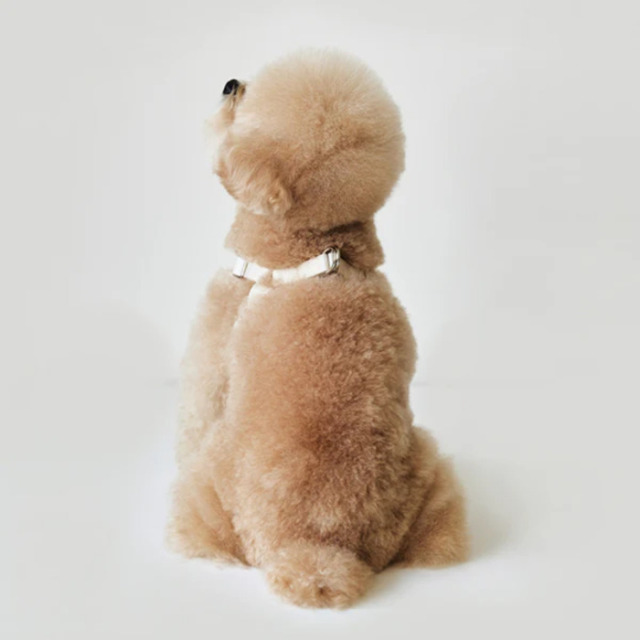 BYBONG DELIGHT HARNESS（クリーム） Pets-first ONLINESTORE