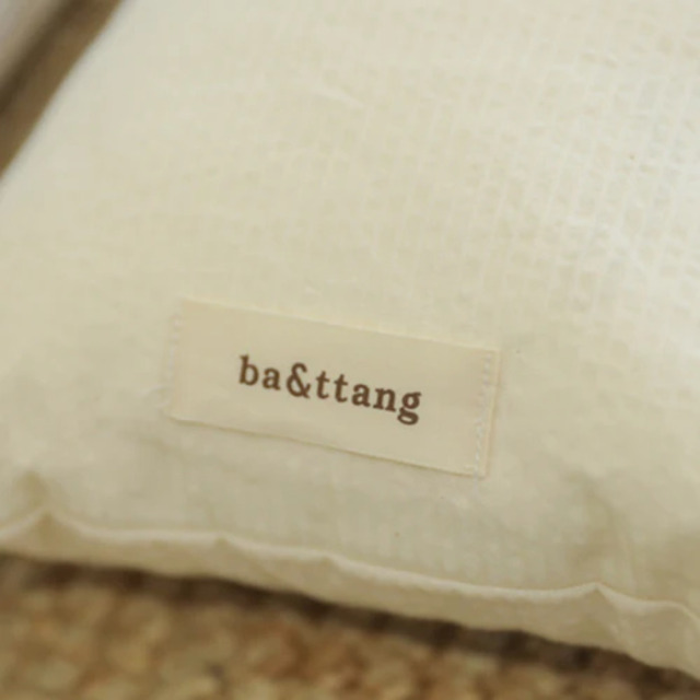 ba&ttang メッシュキャリーバッグ/アイボリー Pets-first ONLINESTORE