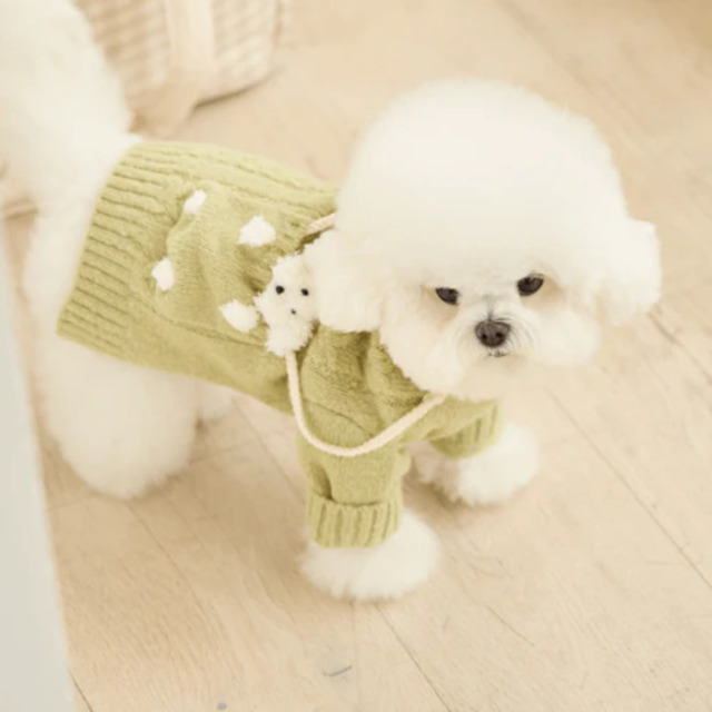 ロイヤルカナン ミニステアライズド（成犬時体重予測10kg以下推奨