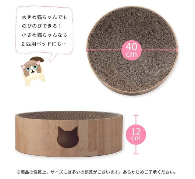 猫壱　バリバリボウル　猫柄