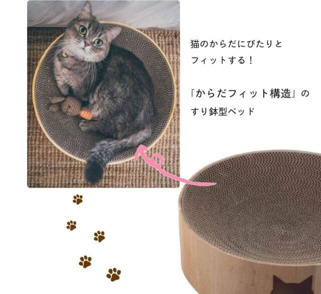 猫壱　バリバリボウル　猫柄