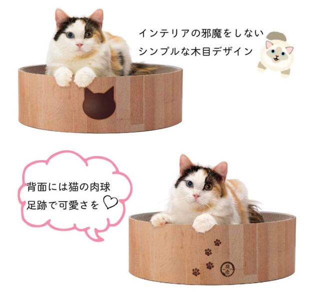 猫壱　バリバリボウル　猫柄