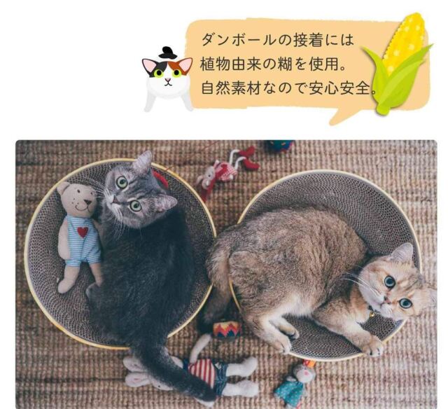 猫壱　バリバリボウル　猫柄