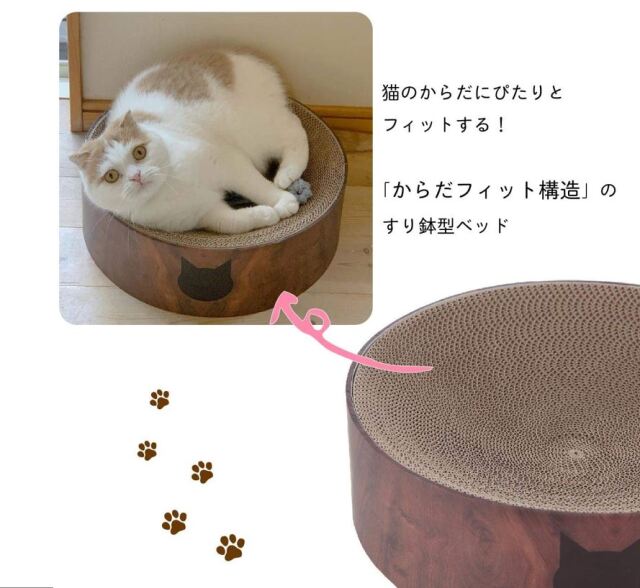 猫壱　バリバリボウル　猫柄 　ダークブラウン