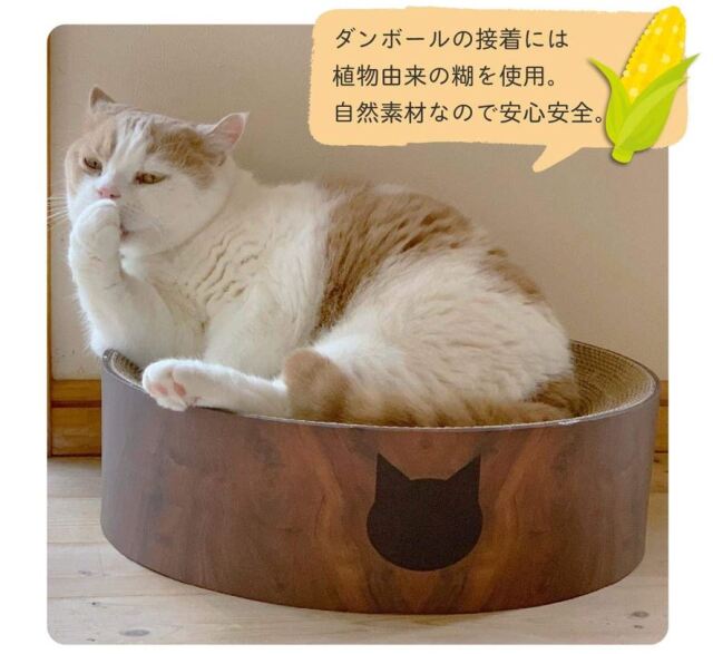 猫壱　バリバリボウル　猫柄 　ダークブラウン