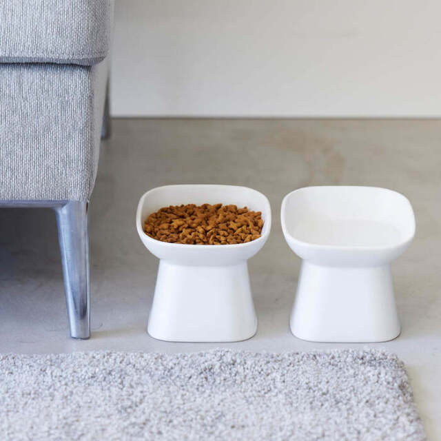 【nooks】食べやすい高さ陶器ペットフードボウル 斜め H11.5