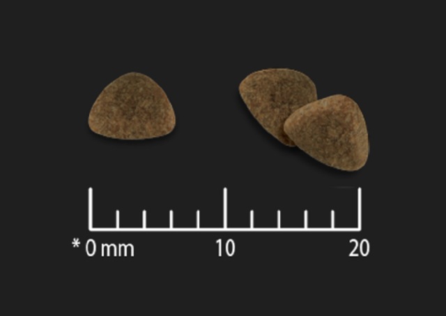 リブクリア　子猫用