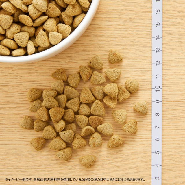ニュートロ ナチュラルチョイス 全犬種用 減量用 [成犬用]ラム＆玄米