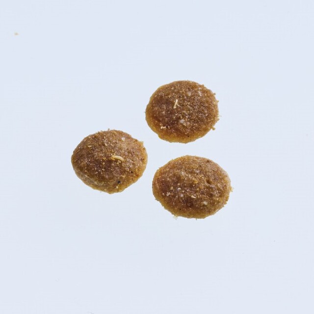 ニュートロ シュプレモ チキン＆サーモン［子猫用］ Pets-first