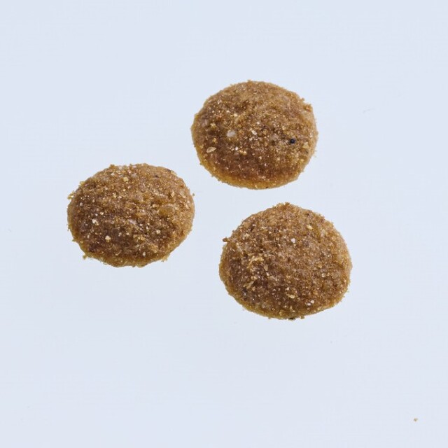 ニュートロ シュプレモ チキン＆サーモン［成猫用］ Pets-first