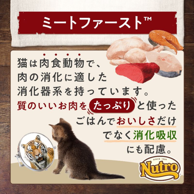 ニュートロ ワイルドレシピ アダルト チキン［成猫用］ Pets-first