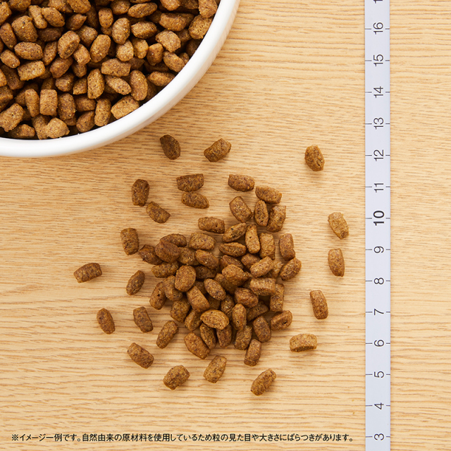 ニュートロ シュプレモ 超小型犬4kg以下用 [成犬用]【超小型犬に適した