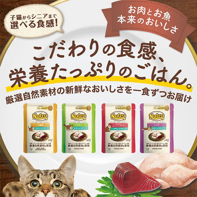 ニュートロ キャット デイリー ディッシュ シニア猫用 チキン＆ツナ