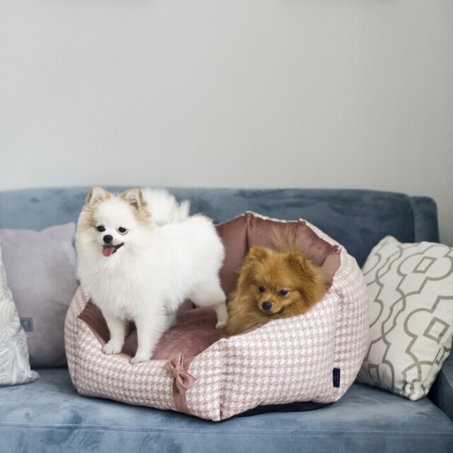 Oh Charlie 】Glamour（グラマー） ベッド Pets-first ONLINESTORE