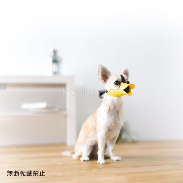 OPPO】Ketori ケトリ Pets-first ONLINESTORE