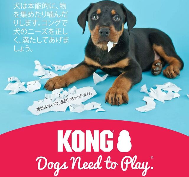 パピーコング ブルー XSサイズ