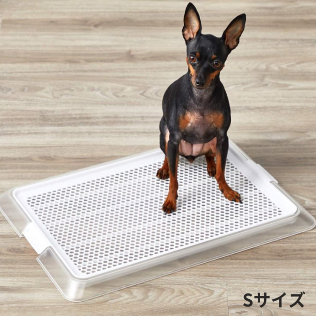 ペットレー クリアメッシュトイレトレー Pets-first ONLINESTORE