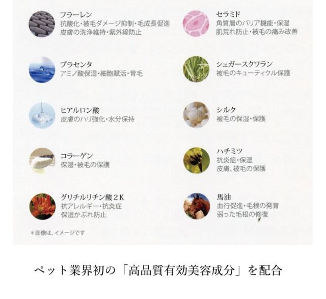 アリールアンドシー ノンシリコンシャンプー S11/200ml (全犬種・全猫