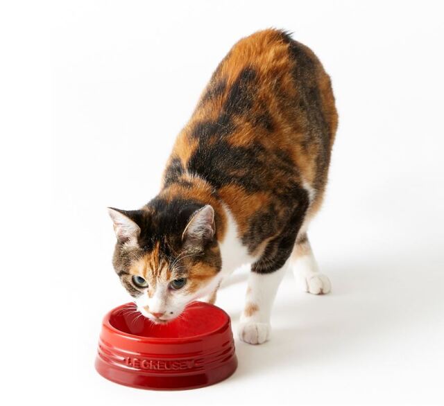 ルクルーゼ　ペットボウル　SS