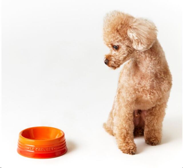 ルクルーゼ　ペットボウル