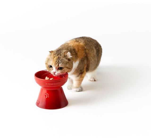 ルクルーゼ　ハイスタンド・ペットボール