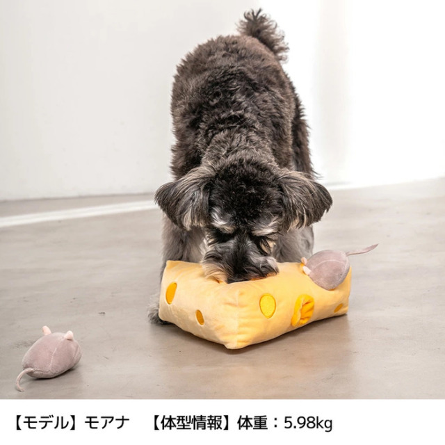 Solgra（ソルグラ） チーズかくれんぼノーズワークトイ Pets-first