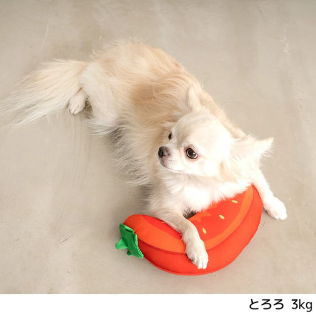 Solgra（ソルグラ） お野菜クールピロー ☆アウトレット Pets-first