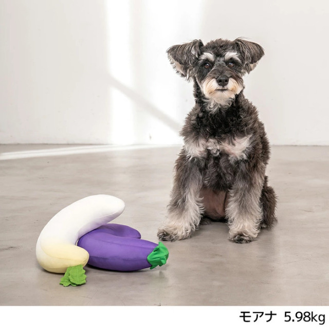 Solgra（ソルグラ） お野菜クールピロー Pets-first ONLINESTORE