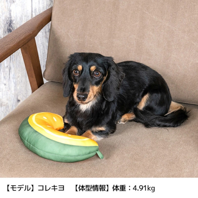 Solgra（ソルグラ） お野菜クールピロー ☆アウトレット Pets-first
