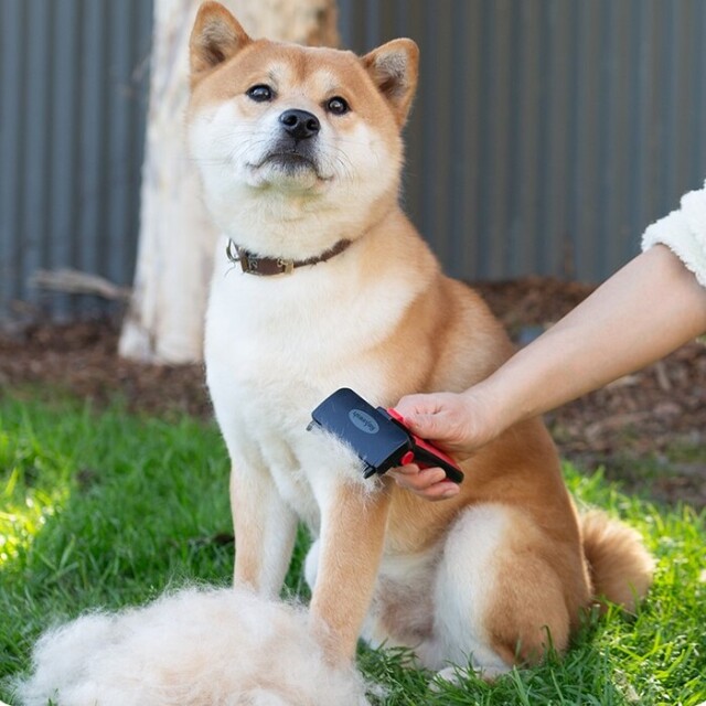 Refuresh】Deshedding Tool / S（グルーミングブラシ） Pets-first