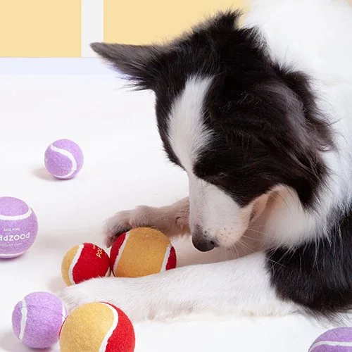 Poozpet】テニスボール Sサイズ（3個入） Pets-first ONLINESTORE