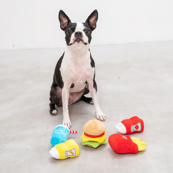 【Solgra】ソルグラ　カリッとポテト