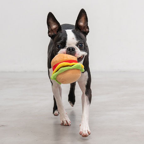 【Solgra】ソルグラ　できたてハンバーガー