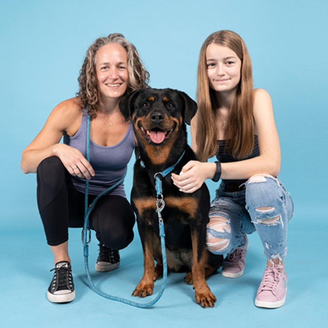 H5D】ハンズフリーリード(ショルダーリード)/7mm Pets-first ONLINESTORE